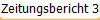 Zeitungsbericht 3