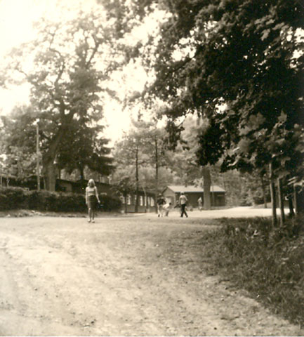 waldeinsatz_11