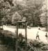waldeinsatz_12
